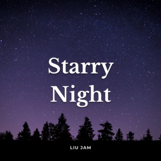 Starry Night (Acoustic Guitar Instrumental)