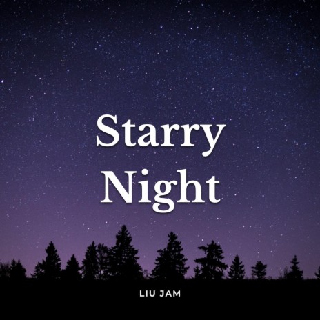 Starry Night (Acoustic Guitar Instrumental) | Boomplay Music