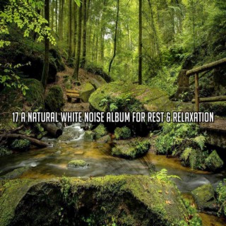 17 A Natural White Noise Album For Rest & Relaxation