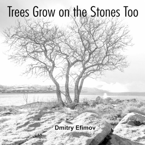 Trees Grow on the Stones Too | Boomplay Music