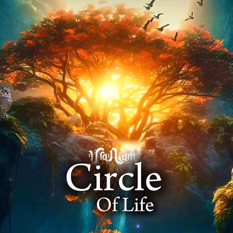 Circle Of Life | Boomplay Music