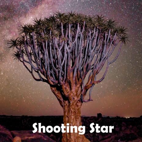 Shooting Star