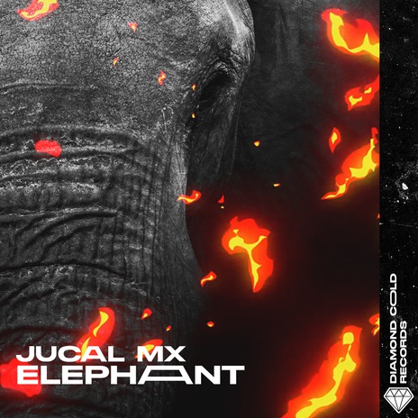 Elephant | Boomplay Music