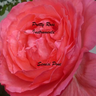 Pretty Rose (Instumental)