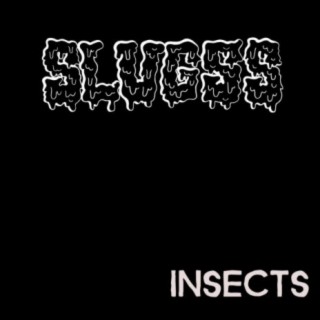 Insects