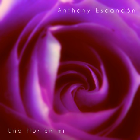 Una Flor en Mí | Boomplay Music