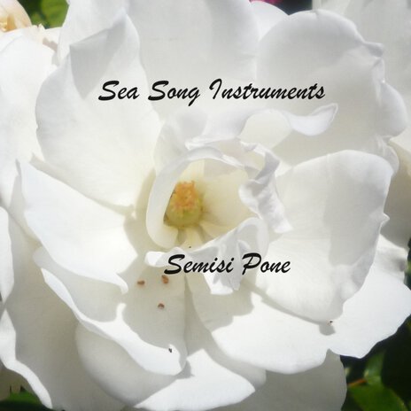 Sea Song Instruments | Boomplay Music