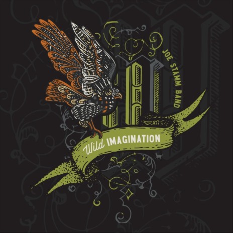 Wild Imagination | Boomplay Music