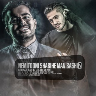 Nemitooni Shabihe Man Bashi 2 (feat. Milad 30Zer)