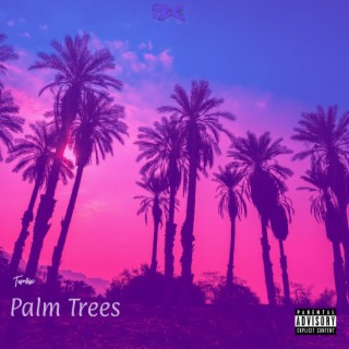 Palm Trees