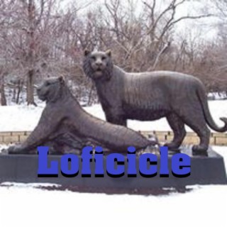 Loficicle