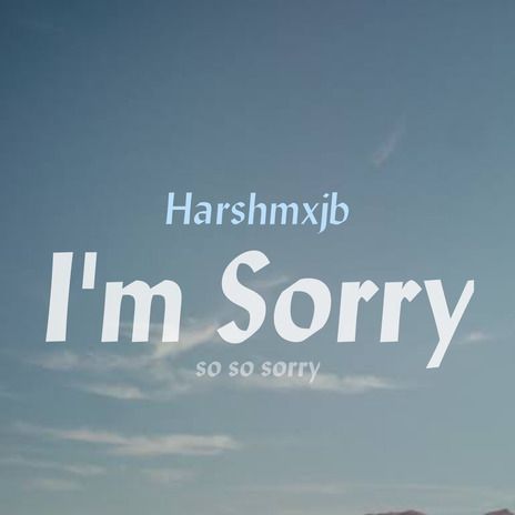 I'm Sorry | Boomplay Music