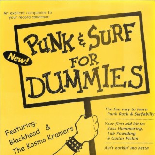 Punk And Surf For Dummies Split