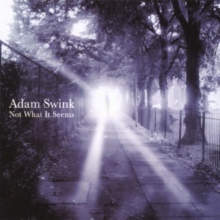 Adam Swink