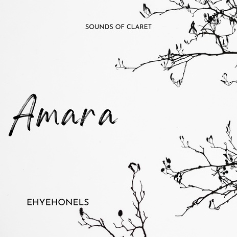 Amara | Boomplay Music