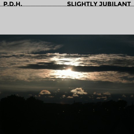 Slightly Jubilant | Boomplay Music