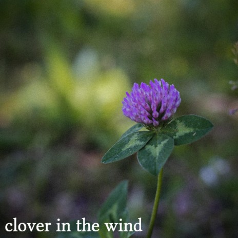 Clover In The Wind (with Ondřej Kozel)