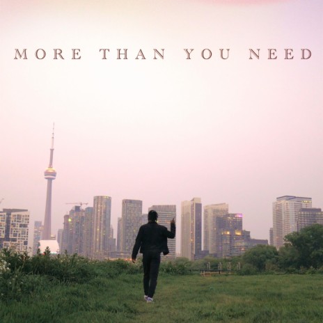 more than you need | Boomplay Music