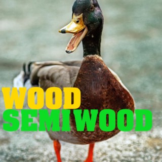 Semi Wood (Acoustic)