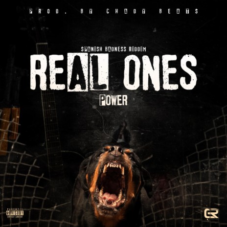 Real Ones (feat. Power) | Boomplay Music