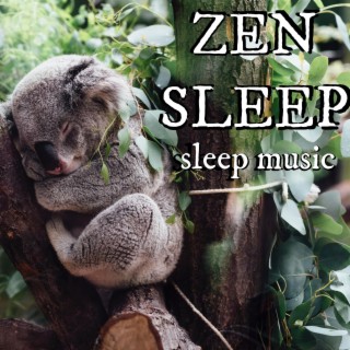 Zen Sleep