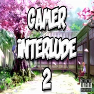 Gamer Interlude 2