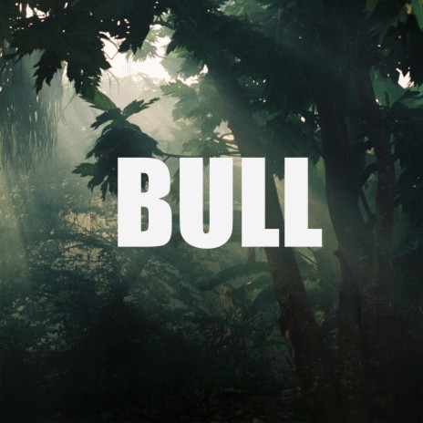 Bull | Boomplay Music