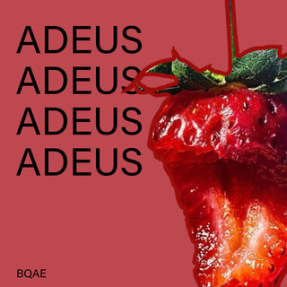 Adeus Book: The Art Of Deadeus (Hardcover) – Incube8 Games