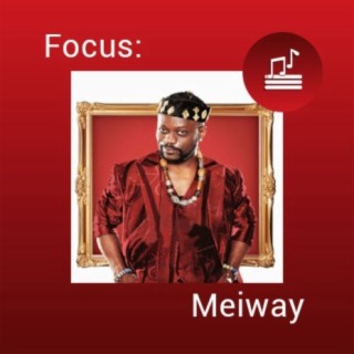 Focus: Meiway