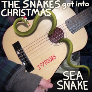 The Snakes Got Into Christmas