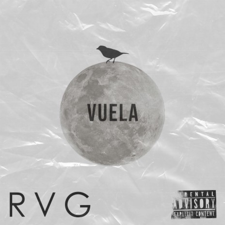 Vuela | Boomplay Music