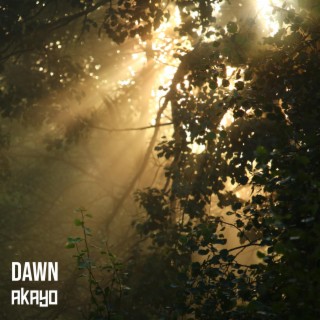 Dawn