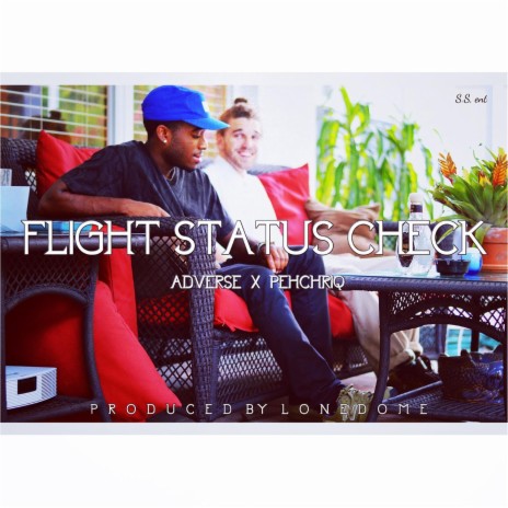 Flight Status Check ft. Pehchriq | Boomplay Music