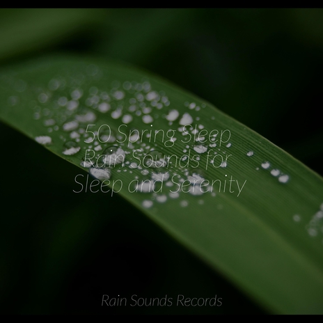 Feathered Bliss in Meadows ft. Cascada de Lluvia & Guided Meditation | Boomplay Music