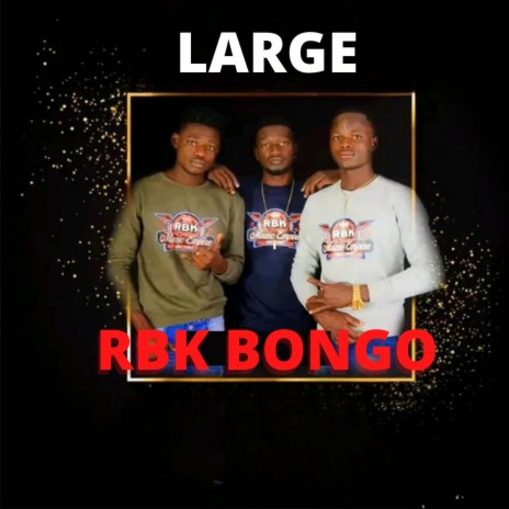 Bongo Boys | Boomplay Music