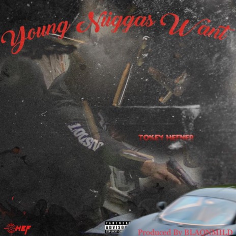 Young Niggas Want | Boomplay Music