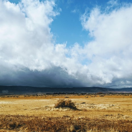 The Valley Below