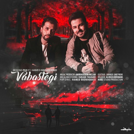 Vabastegi (feat. Hamed Dadkhodaei) | Boomplay Music