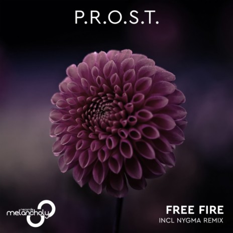 Free Fire (Nygma Remix)