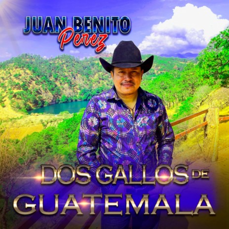 Dos Gallos De Guatemala | Boomplay Music