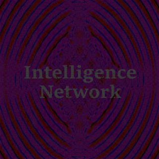 Intelligence Network