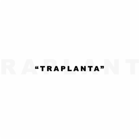 Traplanta
