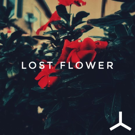 Lost Flower | Boomplay Music