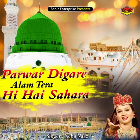 Parwar Digare Alam Tera Hi Hai Sahara (Islamic) | Boomplay Music