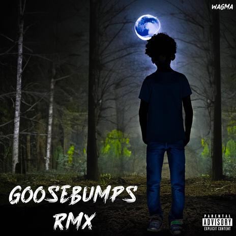 Goosebumps (Rmx)