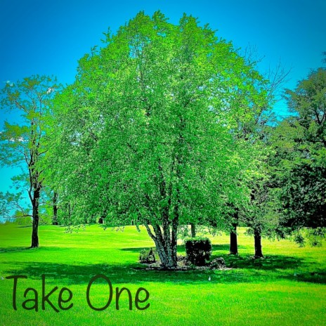 Take One | Boomplay Music