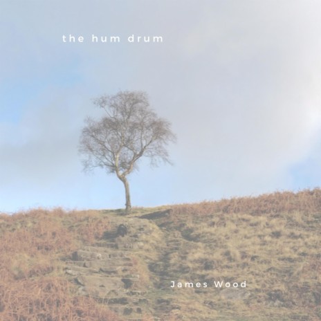 The Hum Drum | Boomplay Music