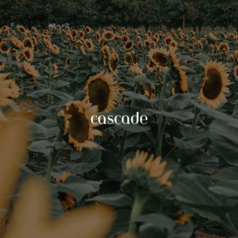 cascade | Boomplay Music