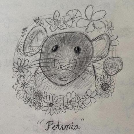 Petunia