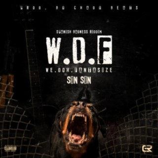 We Doh Fantasize (W.D.F) (feat. Sin Sin)